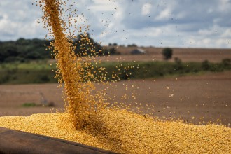 Agronegócio de MT é considerado 'motor' da economia brasileira