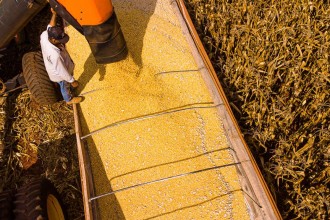 Mato Grosso lidera saldo da balança comercial brasileira no primeiro semestre de 2025