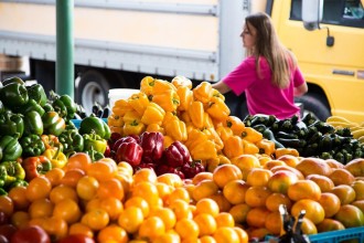 Governo lança AgroAmigo no Centro-Oeste com R$ 500 milhões para fortalecer a agricultura familiar
