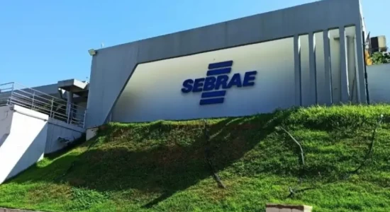 Sebrae/MT abre processo seletivo para analista técnico em Cuiabá; salário é de quase R$ 7,2 mil