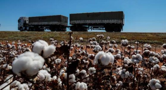 Mato Grosso e Mato Grosso do Sul devem liderar crescimento do PIB em 2025