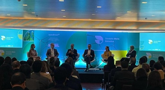 Sedec destaca potencial das ZPEs e defende protagonismo dos estados para atração de investimentos