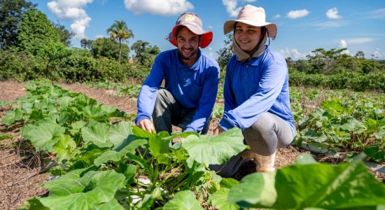 Governo de MT investiu R$ 720 milhões na agricultura familiar