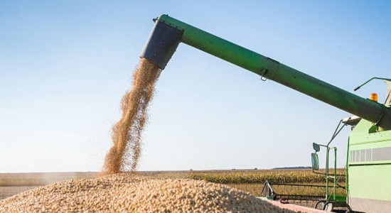 Agropecuária impulsiona crescimento do PIB brasileiro em 2025