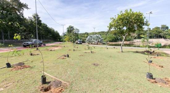 Parque das Águas recebe 200 mudas de espécies nativas