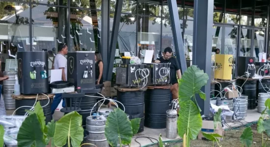 Rota da Cerveja Artesanal atrai turistas do Brasil e do mundo e fomenta produção da bebida em MT