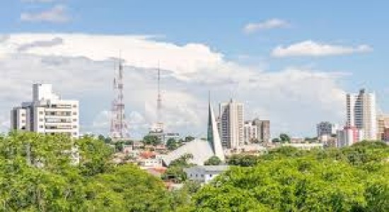 Plano Diretor de Arborização Urbana precisa sair do papel em três meses