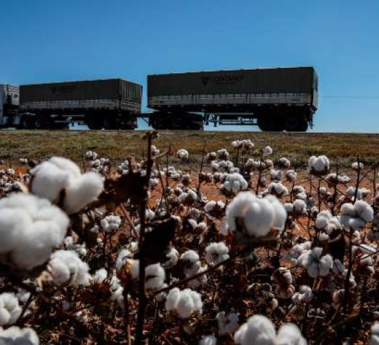 Mato Grosso e Mato Grosso do Sul devem liderar crescimento do PIB em 2025