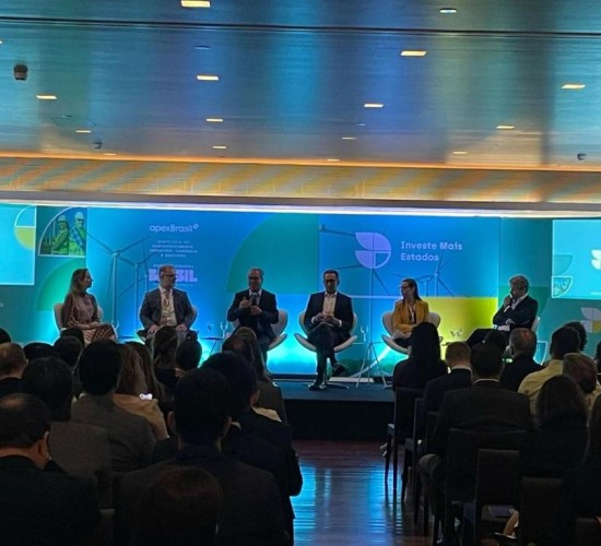 Sedec destaca potencial das ZPEs e defende protagonismo dos estados para atração de investimentos