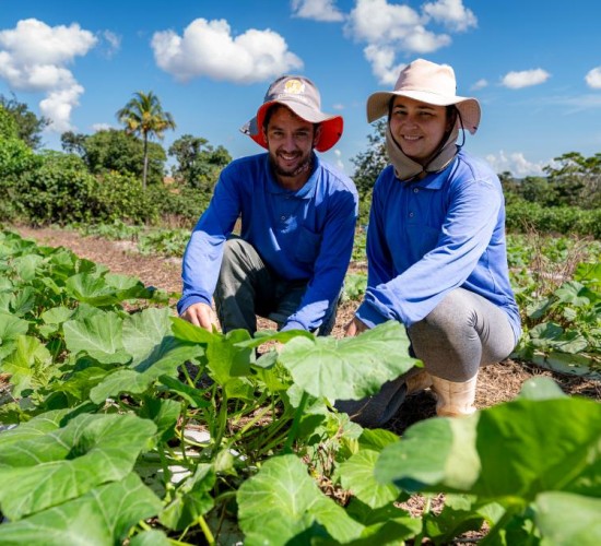 Governo de MT investiu R$ 720 milhões na agricultura familiar