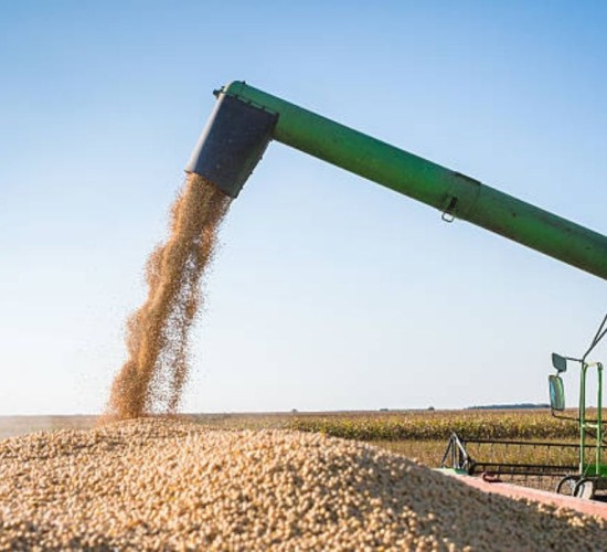 Agropecuária impulsiona crescimento do PIB brasileiro em 2025