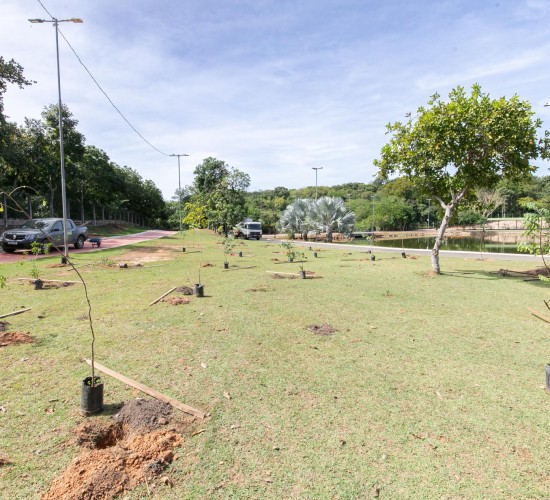 Parque das Águas recebe 200 mudas de espécies nativas