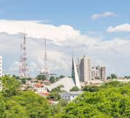 Plano Diretor de Arborização Urbana precisa sair do papel em três meses