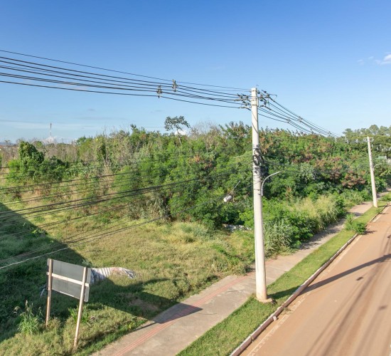 Secretária visita terreno onde unidades habitacionais serão construídas no Tijucal
