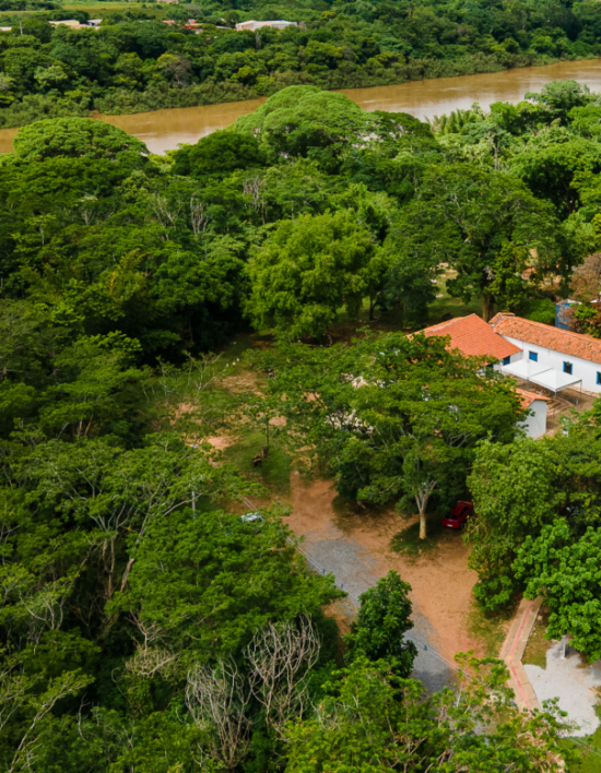 Museu de História Natural abre exposição com peças arqueológicas de Cuiabá para celebrar aniversário da cidade