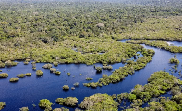 Quase todos os biomas registraram redução do desmatamento em 2024