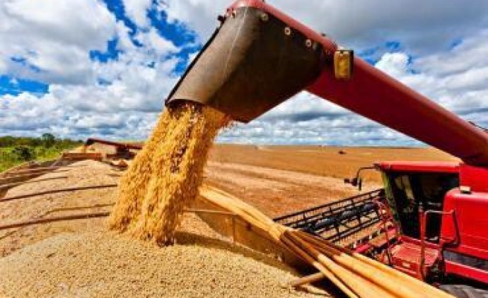 Mato Grosso terá economia aquecida em 2025, enquanto 22 estados desaceleram