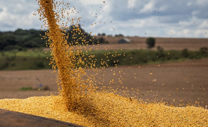 Agronegócio de MT é considerado 'motor' da economia brasileira