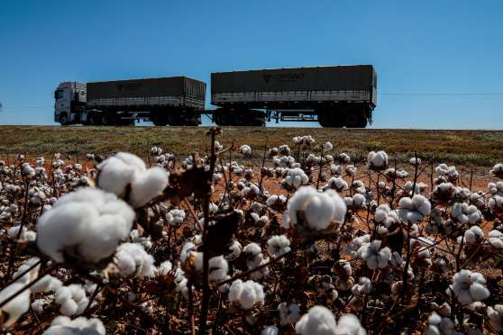 Mato Grosso e Mato Grosso do Sul devem liderar crescimento do PIB em 2025