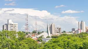 Plano Diretor de Arborização Urbana precisa sair do papel em três meses