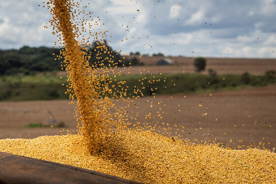Agronegócio de MT é considerado 'motor' da economia brasileira